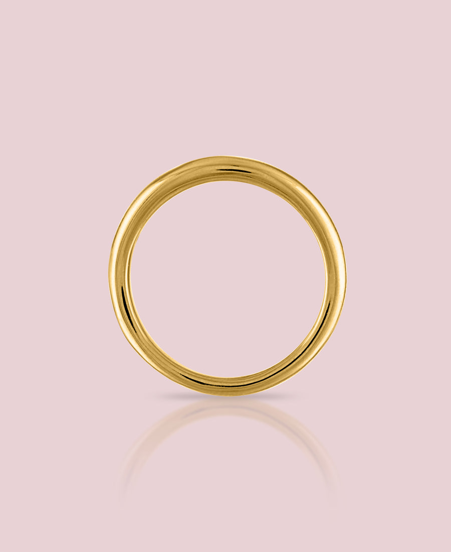 THE EVIG RING